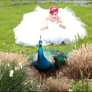 Meet your Posher, Abby